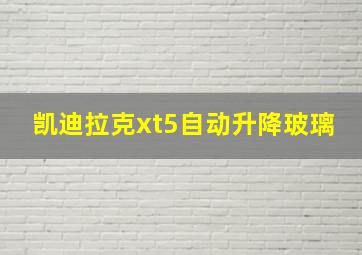 凯迪拉克xt5自动升降玻璃