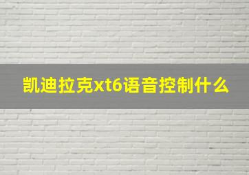 凯迪拉克xt6语音控制什么