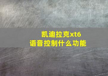 凯迪拉克xt6语音控制什么功能