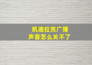 凯迪拉克广播声音怎么关不了