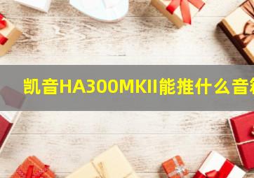 凯音HA300MKII能推什么音箱