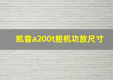 凯音a200t胆机功放尺寸