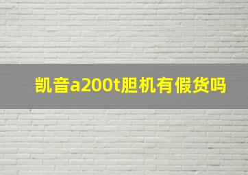 凯音a200t胆机有假货吗