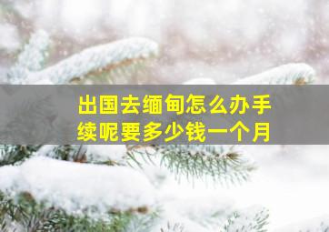 出国去缅甸怎么办手续呢要多少钱一个月