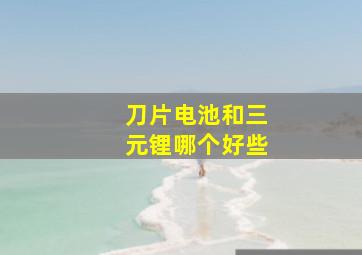 刀片电池和三元锂哪个好些