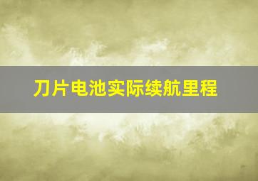 刀片电池实际续航里程