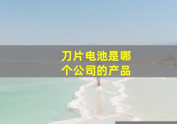 刀片电池是哪个公司的产品