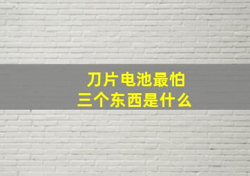 刀片电池最怕三个东西是什么