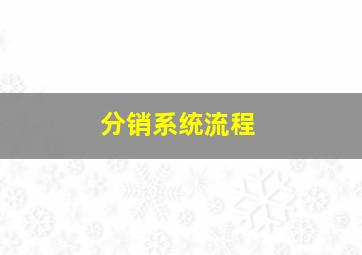 分销系统流程