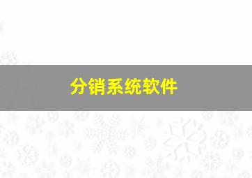 分销系统软件