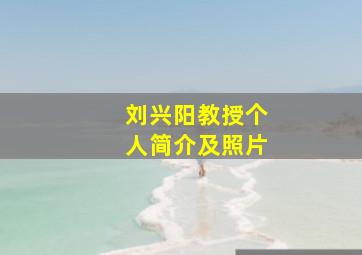 刘兴阳教授个人简介及照片