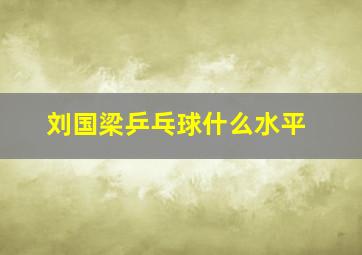 刘国梁乒乓球什么水平