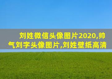 刘姓微信头像图片2020,帅气刘字头像图片,刘姓壁纸高清