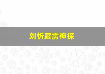 刘忻霹雳神探