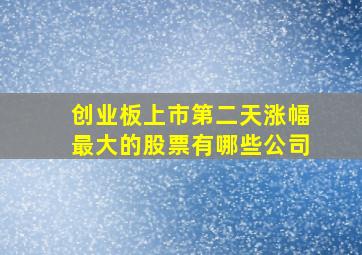 创业板上市第二天涨幅最大的股票有哪些公司