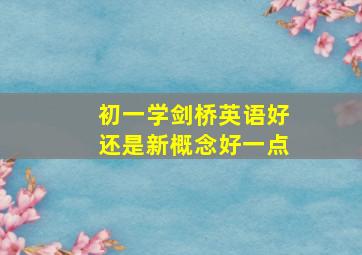 初一学剑桥英语好还是新概念好一点