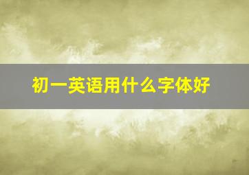 初一英语用什么字体好