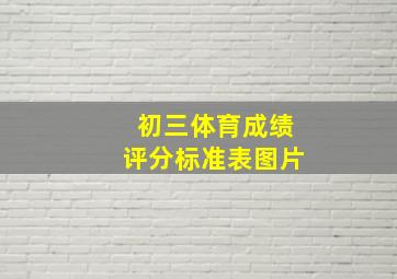 初三体育成绩评分标准表图片