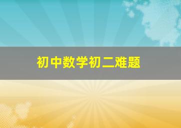 初中数学初二难题