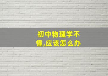 初中物理学不懂,应该怎么办