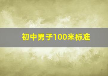 初中男子100米标准