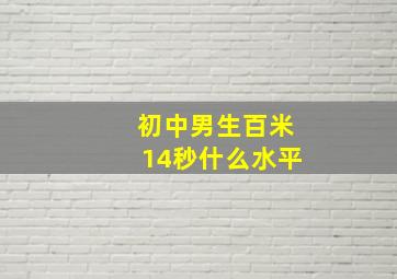 初中男生百米14秒什么水平