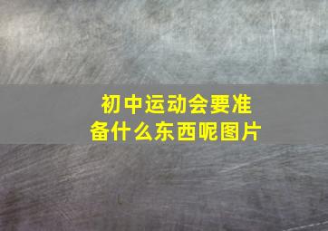 初中运动会要准备什么东西呢图片