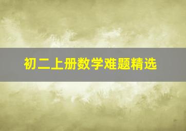 初二上册数学难题精选