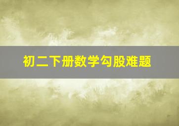 初二下册数学勾股难题