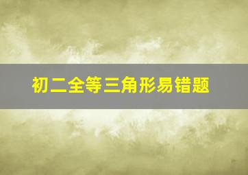 初二全等三角形易错题