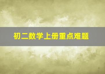 初二数学上册重点难题