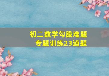 初二数学勾股难题专题训练23道题