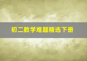 初二数学难题精选下册