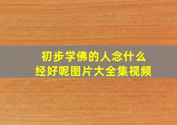 初步学佛的人念什么经好呢图片大全集视频