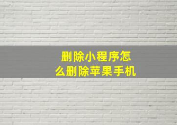 删除小程序怎么删除苹果手机