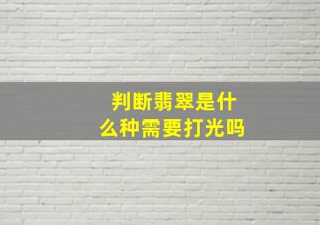 判断翡翠是什么种需要打光吗