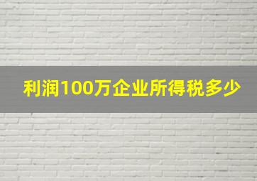 利润100万企业所得税多少