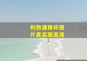 利物浦捧杯图片真实图高清