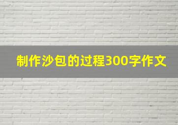 制作沙包的过程300字作文