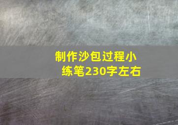 制作沙包过程小练笔230字左右