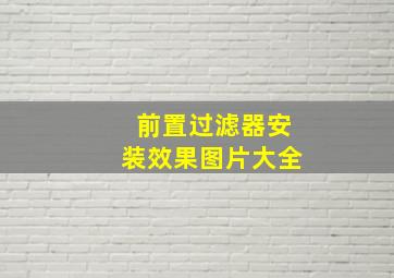 前置过滤器安装效果图片大全