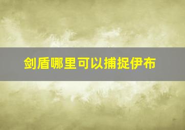 剑盾哪里可以捕捉伊布