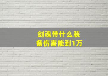 剑魂带什么装备伤害能到1万