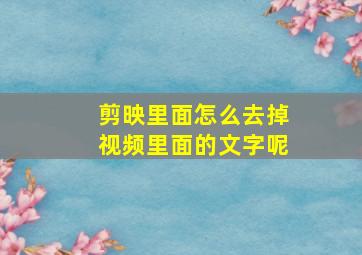 剪映里面怎么去掉视频里面的文字呢