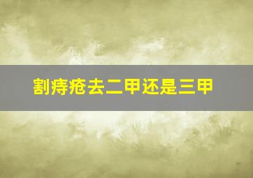 割痔疮去二甲还是三甲