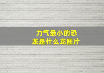 力气最小的恐龙是什么龙图片