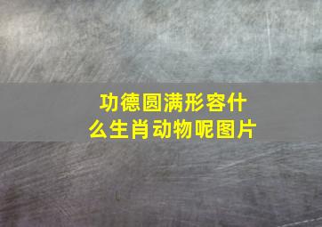 功德圆满形容什么生肖动物呢图片