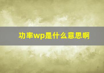 功率wp是什么意思啊