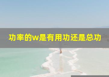 功率的w是有用功还是总功