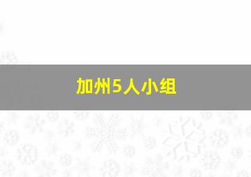 加州5人小组